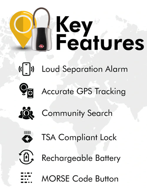 Load image into Gallery viewer, Dolphin Padlock
