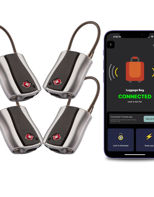 Load image into Gallery viewer, Dolphin Padlock
